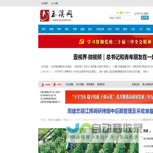玉溪网