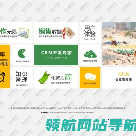 CRM开发专家