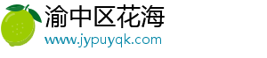 渝中区花海网络技术工作室（个体工商户）