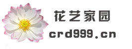 花卉养护乐园