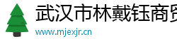 武汉市林戴钰商贸有限公司