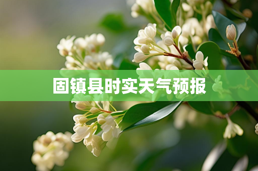 天气预报