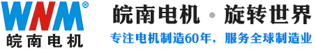 苏州皖电电机有限公司欢迎您！