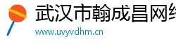 武汉市翰成昌网络科技有限公司