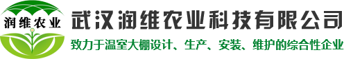 武汉温室大棚