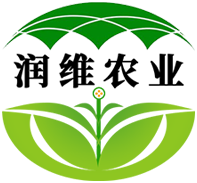 武汉温室大棚