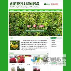 欧普康视科技股份有限公司