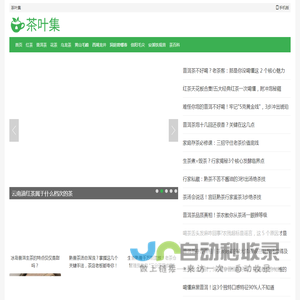 茶叶集