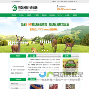 试剂仪器
