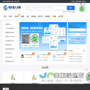 哈尔滨人才网