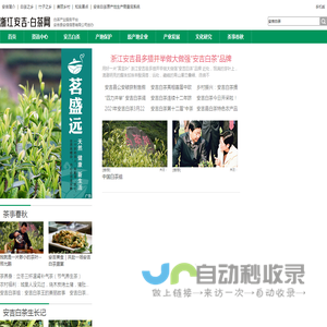 浙江安吉白茶网