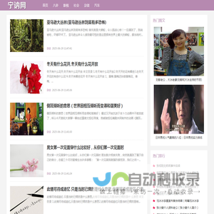 宁讷网