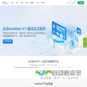 永洪科技