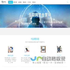 网络运营推广