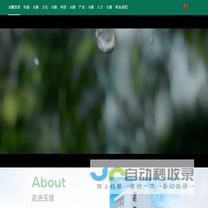 植物提取物｜越橘提取物｜蔓越莓提取物
