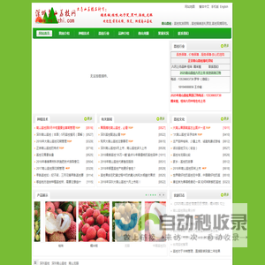 深圳荔枝