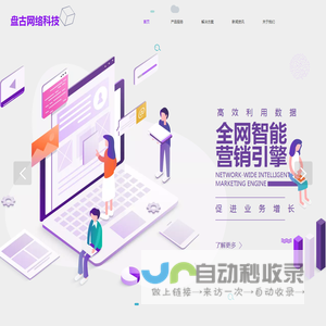 盘古网络科技网站