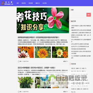 花儿网