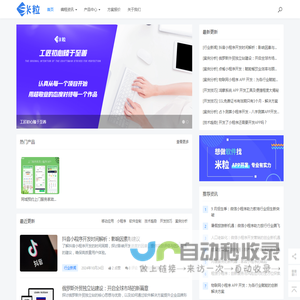 APP开发