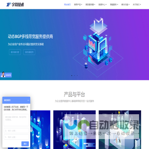 字符技术