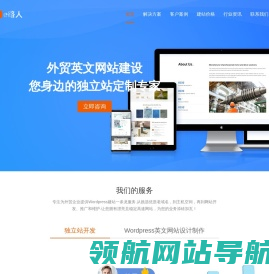 外贸网站建设公司