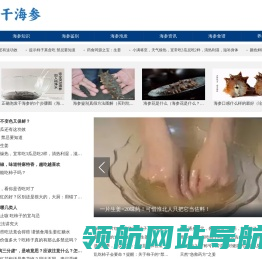 干海参网