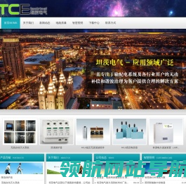 坦茨电气（上海）有限公司