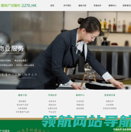 德商产投服务集团有限公司