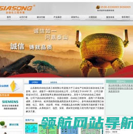 山东新松自动化仪表工程有限公司