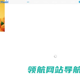 MCU单片机芯片开发