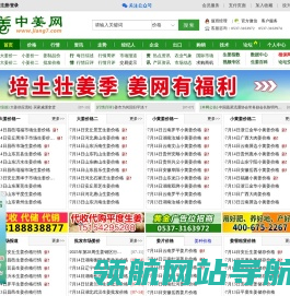 中姜网