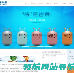 山东飞源集团有限公司