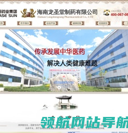 海南龙圣堂制药有限公司