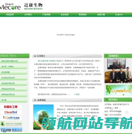 血红素（卟啉铁）