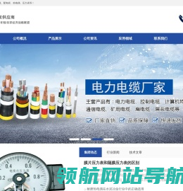 天长市恩赛斯仪表