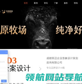 IMG英迈®品牌全案设计
