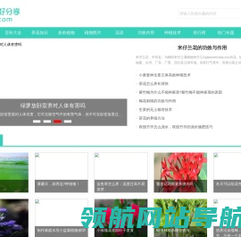 植物爱好分享