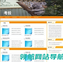 考拉