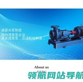 河北成霖水泵制造有限公司