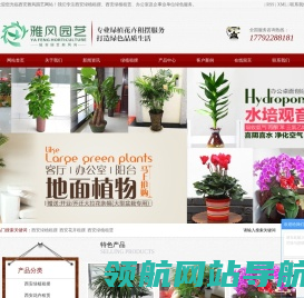 西安绿植租摆