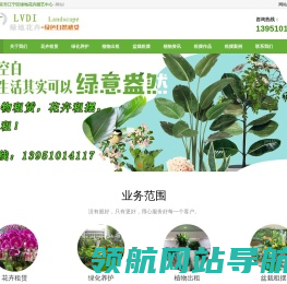 南京花卉租赁