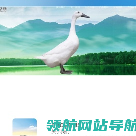 连城白鸭