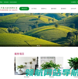 网红南京绿植租赁