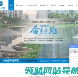 黑臭水体治理
