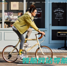 DAHON大行折叠车